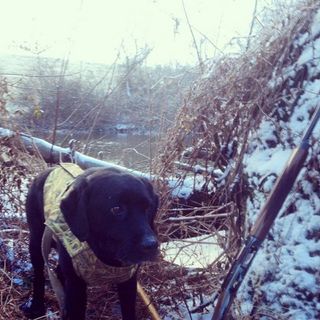 Profile Picture of Brian Herrighty (@Brian-Herrighty) on Facebook