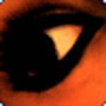 Profile Picture of Lol Lol (@··¤(`×[¤ sn@fee ¤]×´)¤··) on Flickr