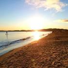 Profile Picture of   Thomas Scollay... (@thomasscollay) on Tiktok