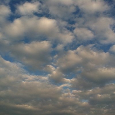 Bailey Boyer - Twitter Profile Picture of Bailey Boyer (@BaileyB026) on Twitter