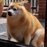 Profile Picture of Grant Starr (@grantstarr55) on Instagram