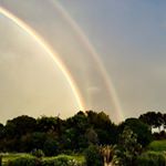 Profile Picture of Pauline Watts (@paulinewattsartist) on Instagram