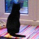 Profile Picture of Pam Davidson (@the_pammy_d) on Instagram