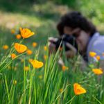 Profile Picture of Stephanie Gabler (@stephgablerphotography) on Instagram