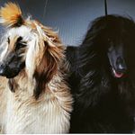 Profile Picture of Анна Кантор (@kantor9390) on Instagram