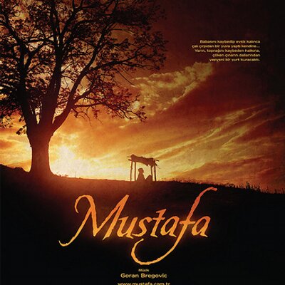 Profile Picture of Mustafa Umar (@mustafaumar) on Twitter