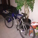 Profile Picture of Thomas Zarlinga (@Thomas-Zarlinga) on Facebook