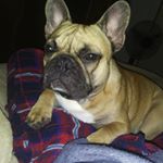 Profile Picture of Eli Jones Danger (@eli11718) on Instagram