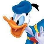 Profile Picture of Jeffrey R. Ellmann (@jre9893) on Instagram