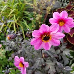 Profile Picture of kimberlyjamison (@kimberlyjamison) on Tiktok