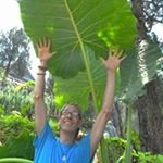 Profile Picture of Jonathan Thaler (@jonathan.thaler) on Instagram