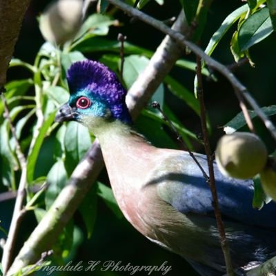 Profile Picture of Stephen Rowles (@stphnrowles) on Twitter