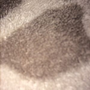 Profile Picture of Fred Man (@fredman2) on Myspace