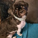 Profile Picture of Carla Foster (@carlafoster44) on Instagram