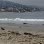 Profile Picture of Tracy Mowdy (@tracymowdy) on Instagram