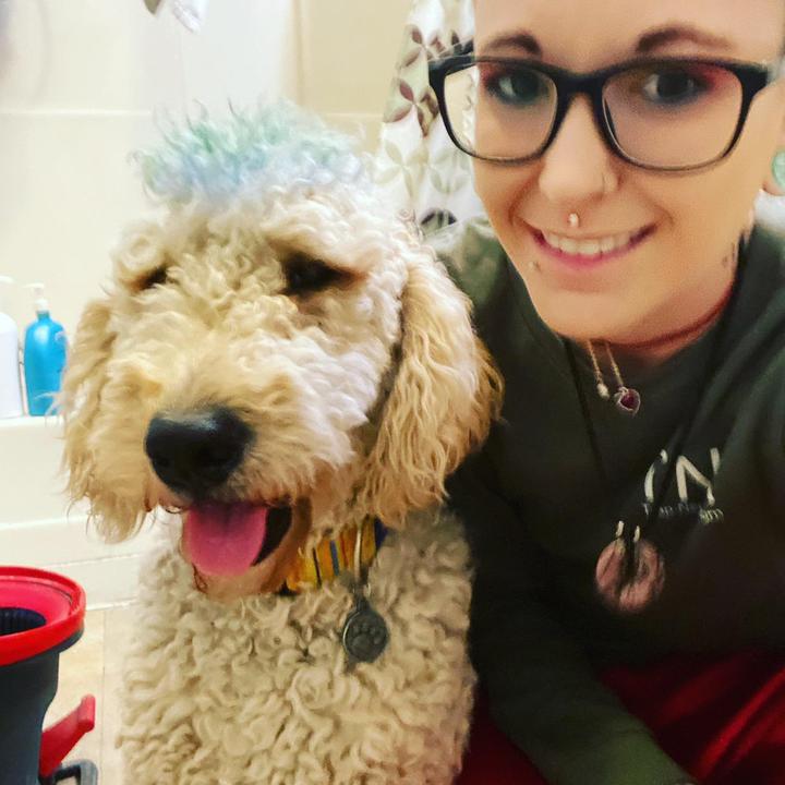 Profile Picture of Amanda Lester (@@that_doodle_mom) on Tiktok