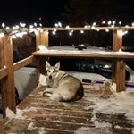 Profile Picture of Scott Brauer (@scottybrauer27) on Instagram