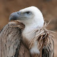 Profile Picture of Brandon Fulcher (@brandon-fulcher-7) on Quora