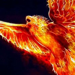 Profile Picture of ... (@ScipioDaniel) on Twitter