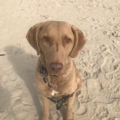 Profile Picture of Burke Williams (@BurkeWilliams20) on Twitter