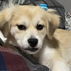 Profile Picture of Jared Soto (@Jared-Soto) on Facebook