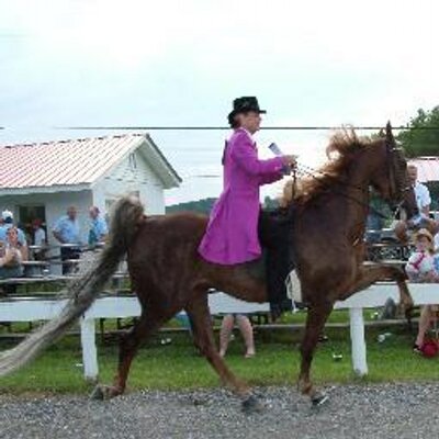 Profile Picture of Kelly L. Brewster (@klbrewster24) on Twitter