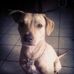 Profile Picture of Michael Polizzotto Jr. (@michael.polizzotto.18) on Facebook