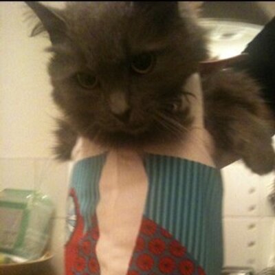 Profile Picture of Amanda Rollason (@Marytroll) on Twitter