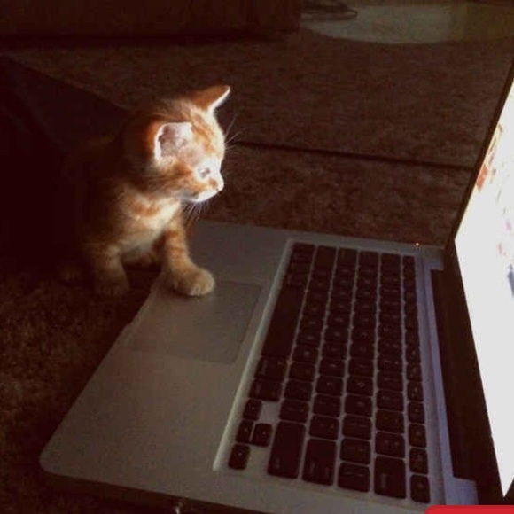 Profile Picture of Tori Stevens (@toriroo12) on Poshmark