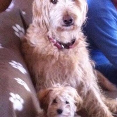 Profile Picture of Brian Berner (@BrianBwberner) on Twitter