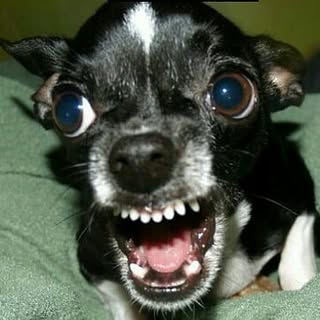 Profile Picture of jeffrey fleming (@chefjeff769) on Instagram