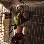 Profile Picture of Belinda Basinski (@belinda.basinski.2025) on Facebook