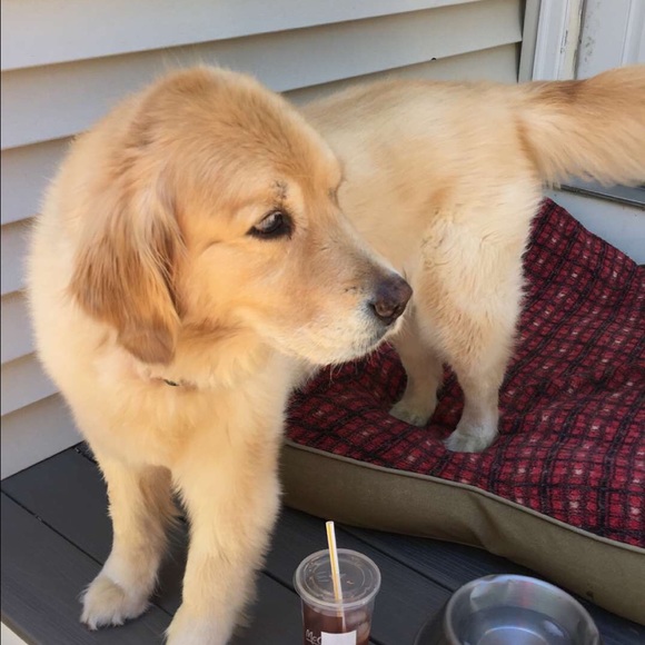 Zachary Buckley - Poshmark Profile Picture of Zachary Buckley (@zbuckley21) on Poshmark