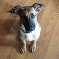 Profile Picture of Leah Hearns (@leah-hearns) on Quora