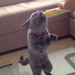 Profile Picture of Carl Hartle (@canonhaem) on Instagram