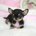 Profile Picture of Nancy Marciano (@nancymarciano666) on Instagram