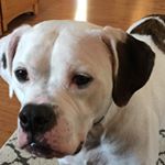 Profile Picture of Bill Senneway (@bsenneway) on Instagram