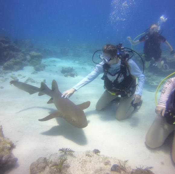 Profile Picture of Kendra Theilen (@kendra_clifford) on Poshmark