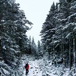 Profile Picture of jay connolly (@jayconnolly207) on Instagram