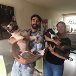 Profile Picture of Robertreumkens (@robertreumkens) on Instagram