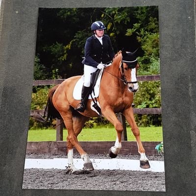 Profile Picture of Taylors Park Stud (@moor_carly) on Twitter