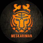 Profile Picture of mes kariman (@meskariman) on Instagram
