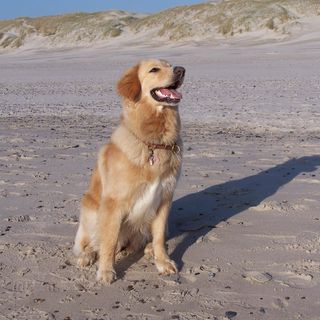 Profile Picture of Matthias Hirschel (@matthias.hirschel.1) on Facebook