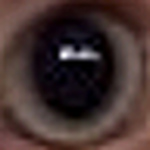 Profile Picture of Catherine Manning (@Cat Manning) on Flickr