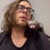 Profile Picture of   3 little ferrets sleeping... (@ferretdaddy) on Tiktok