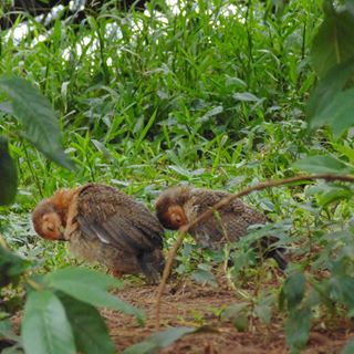 Profile Picture of Terry Stallsmith (@tstallsmith) on Facebook