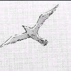 Profile Picture of   gazz16 (@gus00270) TikTok |... (@gus00270) on Tiktok