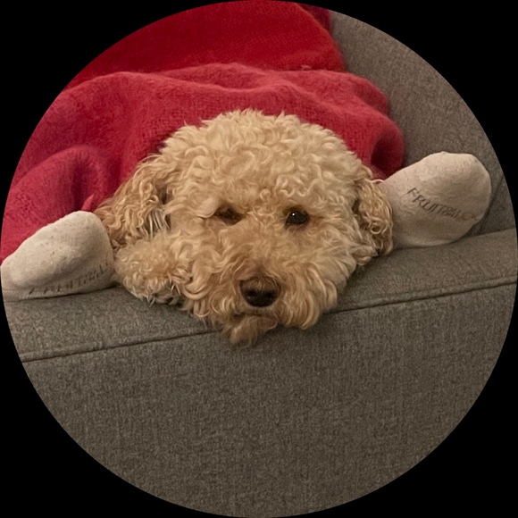 Profile Picture of Todd Unger (@toddunger1) on Poshmark