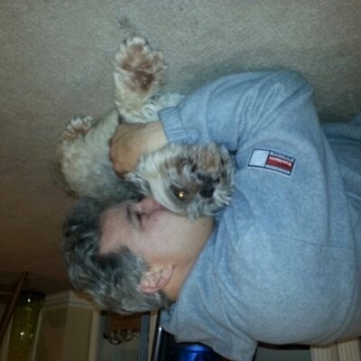 Profile Picture of Anthony Caramello (@tonythecc) on Twitter