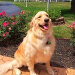 Profile Picture of Allen Lucas (@debrah1241) on Instagram